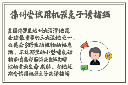 91精品国产精华精华液好用吗